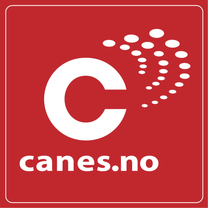 Canes logo